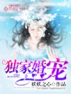 独家婚宠